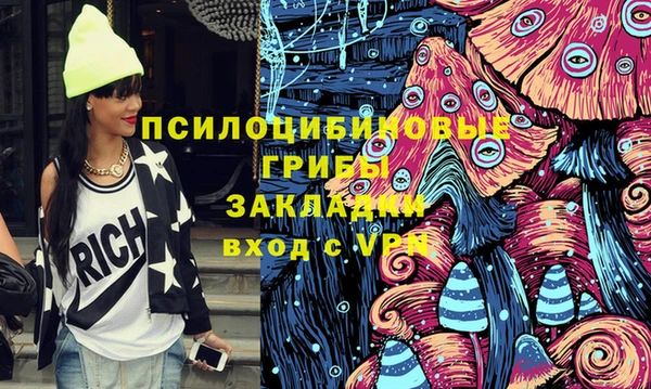 индика Долгопрудный