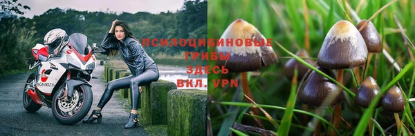 стаф Вязники
