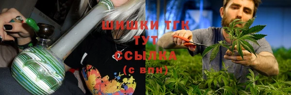 стаф Вязники