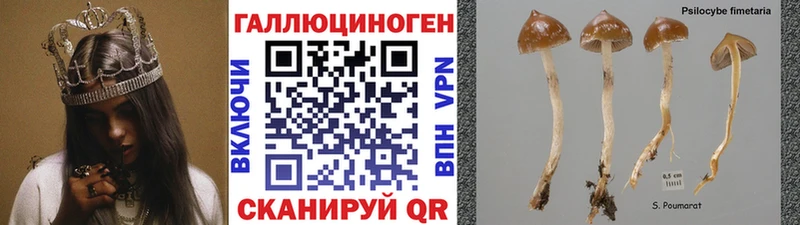 Псилоцибиновые грибы Magic Shrooms hydra рабочий сайт Емва
